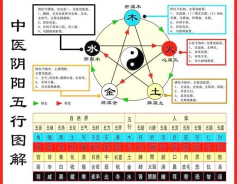 中醫五行屬什麼